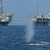 U.S. moves towards Atlantic oil exploration, stirring debate over sea life