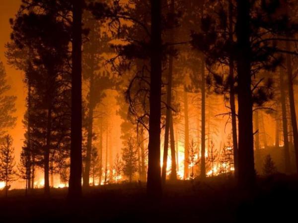 File photo. Wildfire season officially starts on April 15 in Washington stateInciWeb