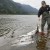 Chinook make late arrival on Columbia River