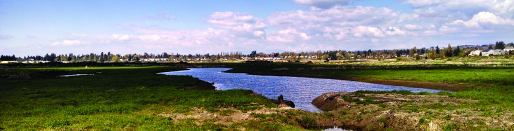 Qwuloolt EstuaryPhoto/Francesca Hillery