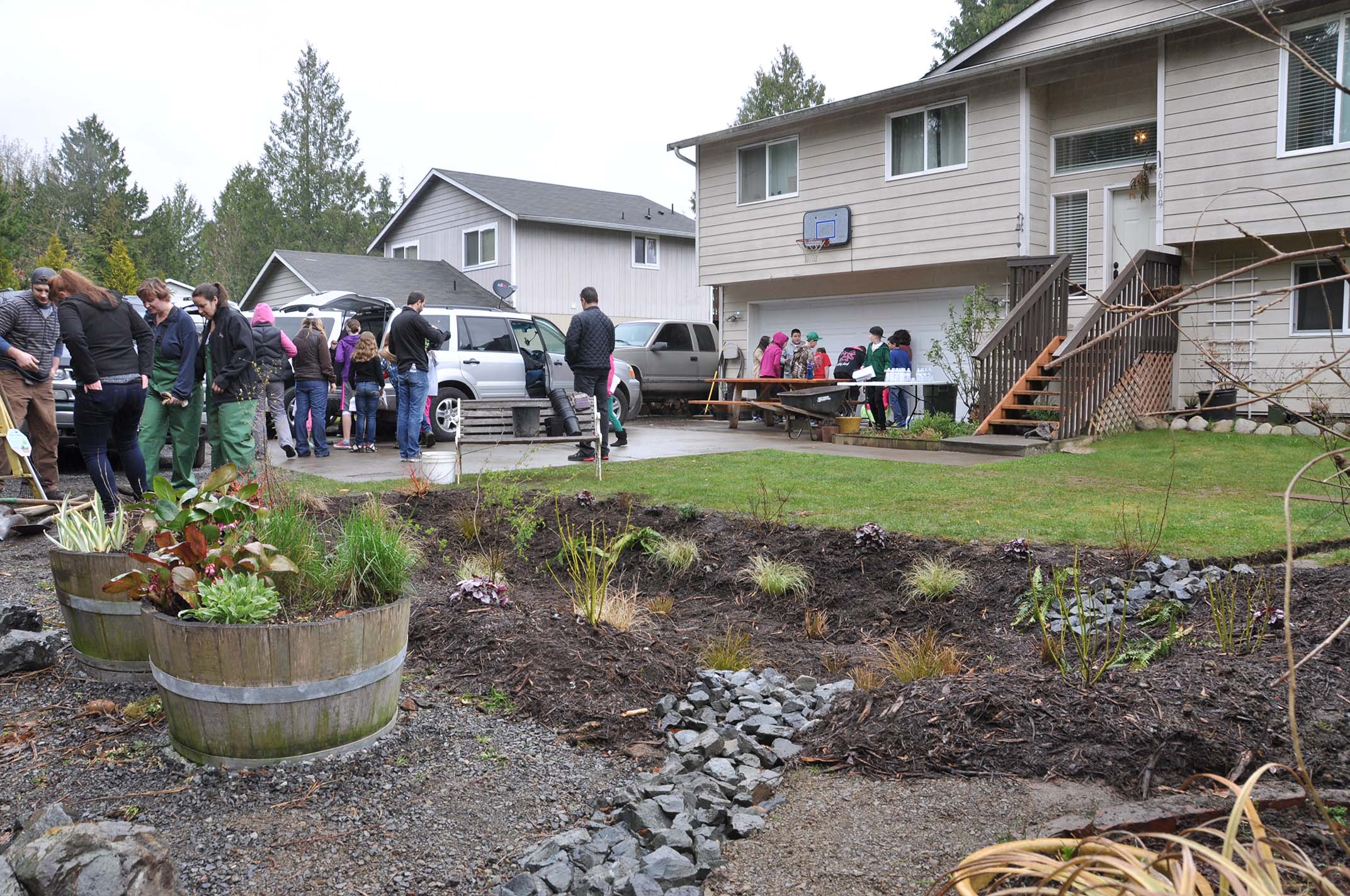 Rain Garden (2)