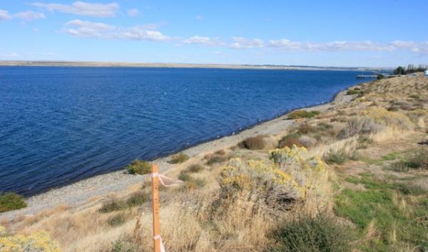 The Columbia River Intertribal Fish Commission says the white dots in the water are tribal fishing buoys and the wooden stake marks the beginning of the proposed Morrow Pacific coal export project site at the Port of Morrow in Boardman. | credit: Courtesy of CRITFC