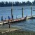 Canoes return to the water