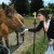 All Breed Equine Rez-Q raising funds for horse quarantine station