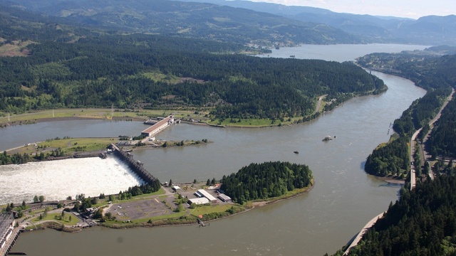 The Bonneville Dam on the Columbia River. A legal settlement requires the Army Corps of Engineers to disclose the pollution that its dams put into the river. | credit: Amelia Templeton 