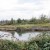 Salmon habitat project on Smith Island to proceed
