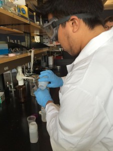 Erik Peaches, NAU senior, works in lab as part of the Native American Cancer Prevention project at NAU.(Photo: 12 News)