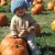 Seattle Refined: 5 of Wash. state’s best pumpkin patches