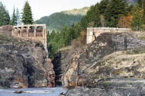 Remains of the Glines Canyon Dam on the upper Elwha River. Photo by James Wengler.