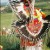 15th Annual Indian Market & Powwow