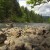 Puget Sound cities activate drought plans as river levels drop