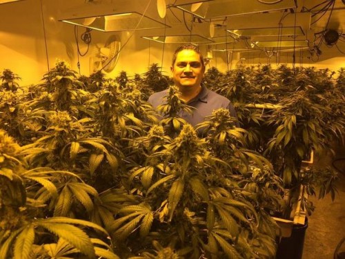 Tony Reider, president of the Flandreau Santee Sioux Tribe, wants to make his tribe the first in the nation to sell recreational marijuana. Here he’s shown under the grow lamps of a medical marijuana growing facility in Phoenix in March 2015.PHOTO COURTESY OF TONY REIDER — Handout