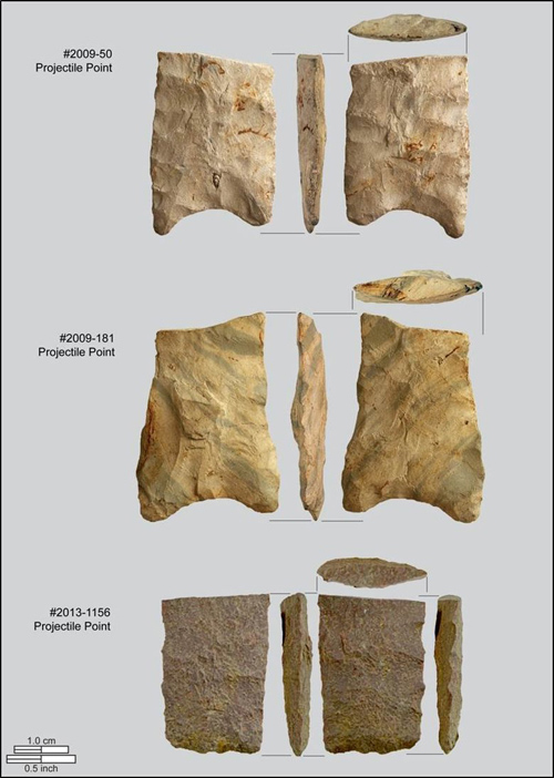 Stone points excavated near Redmond Town Center have unusual concave bases. (SWCA Environmental Consultants)