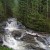 Tulalips, Forterra to preserve land near Wallace River for salmon